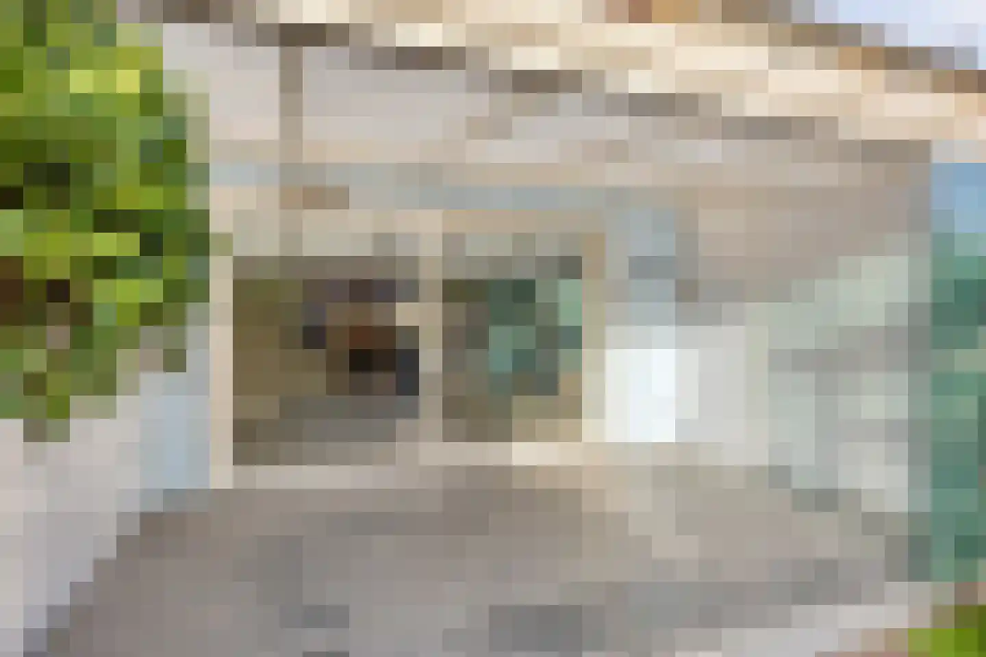 Eufraatstraat 4 Spijkenisse thumbnail 57