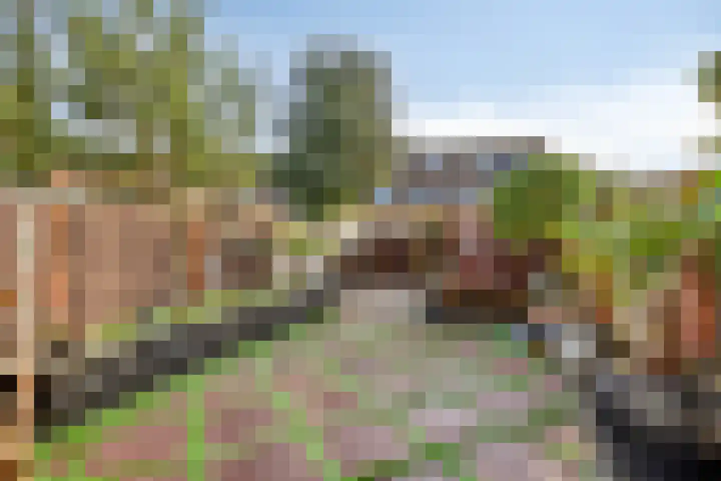 Eufraatstraat 4 Spijkenisse thumbnail 59