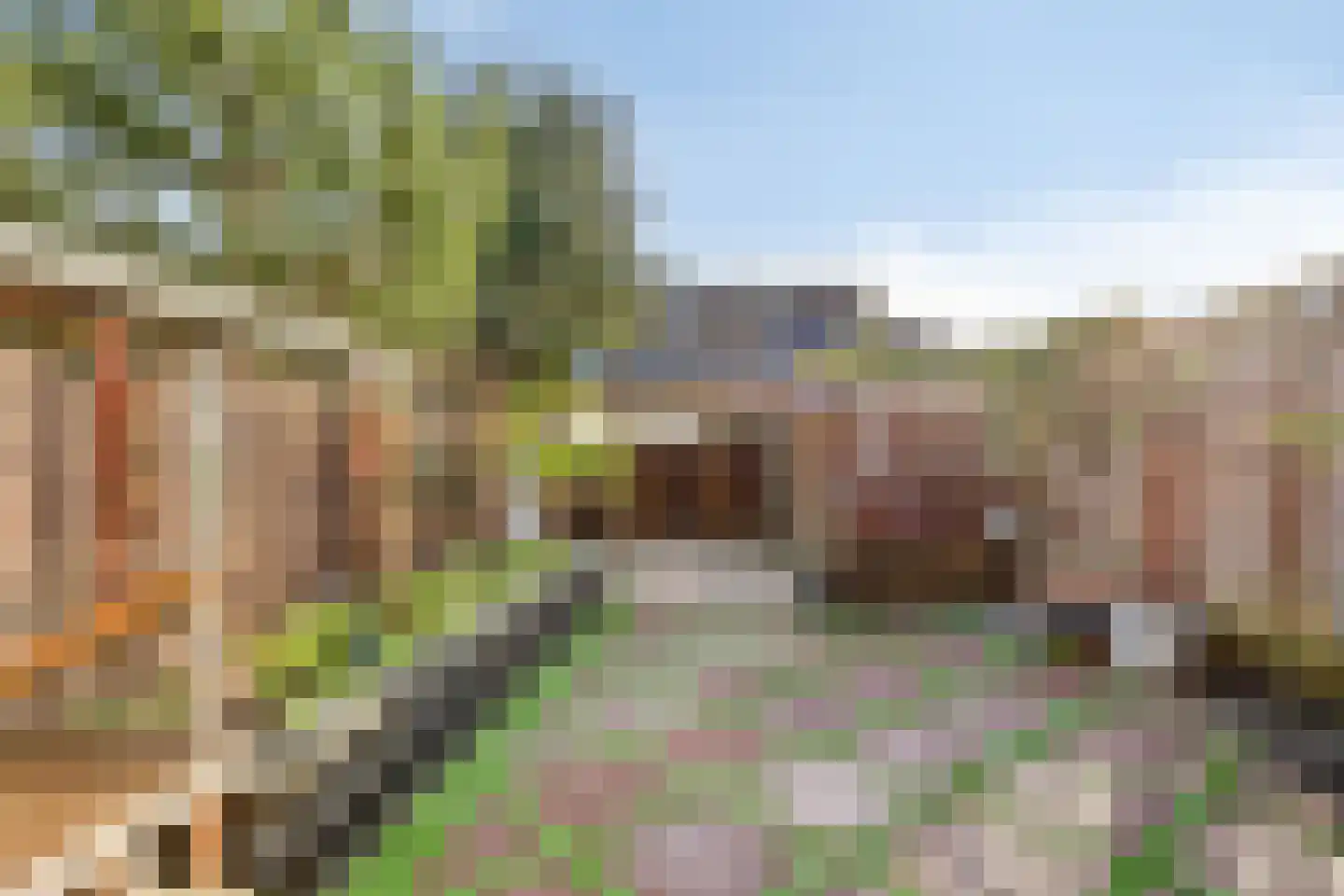 Eufraatstraat 4 Spijkenisse thumbnail 60