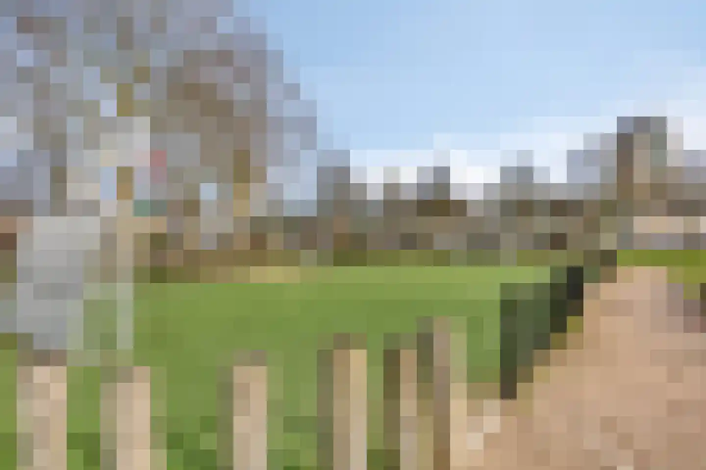 Eufraatstraat 4 Spijkenisse thumbnail 67