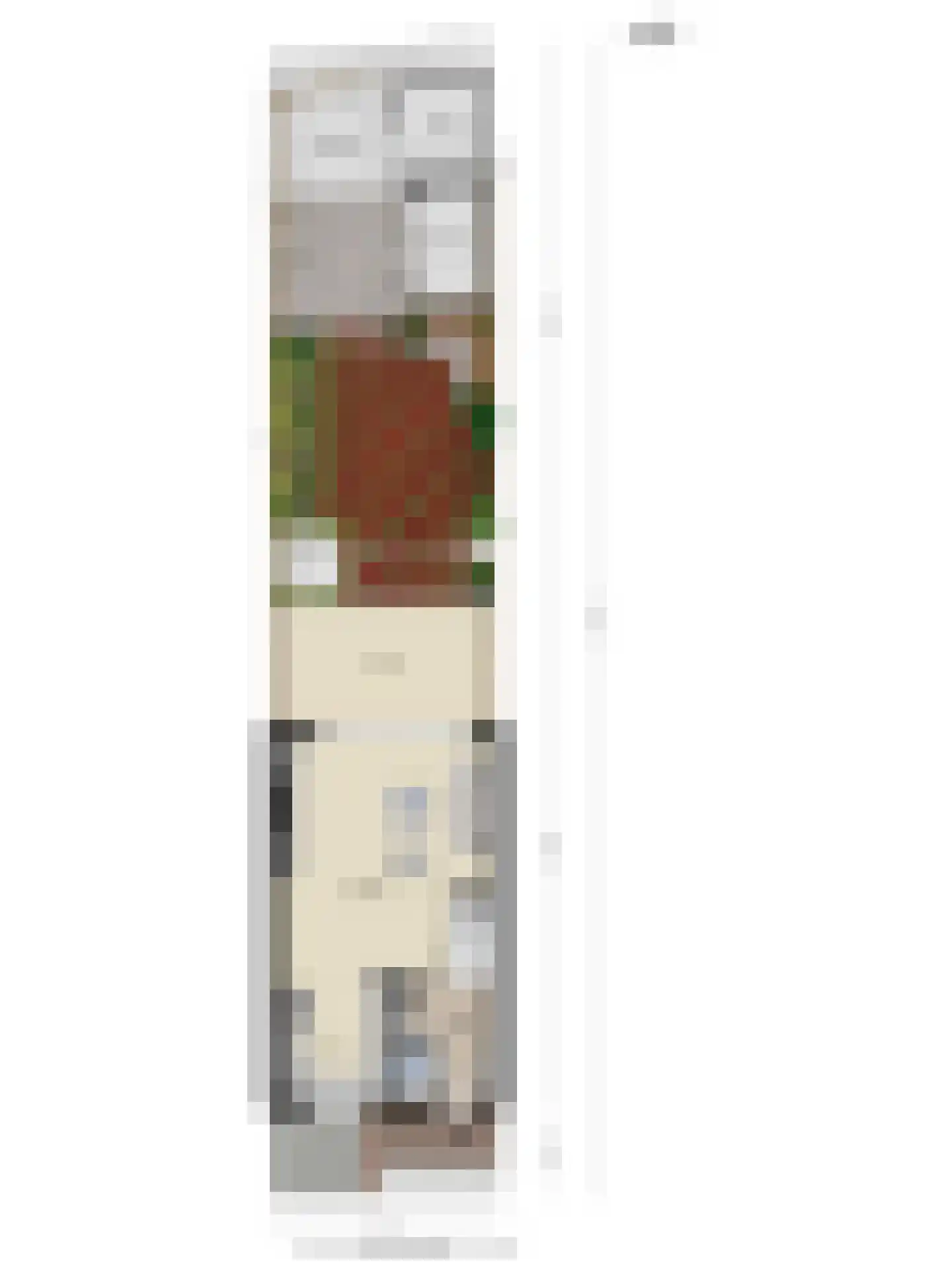 Eufraatstraat 4 Spijkenisse thumbnail 69