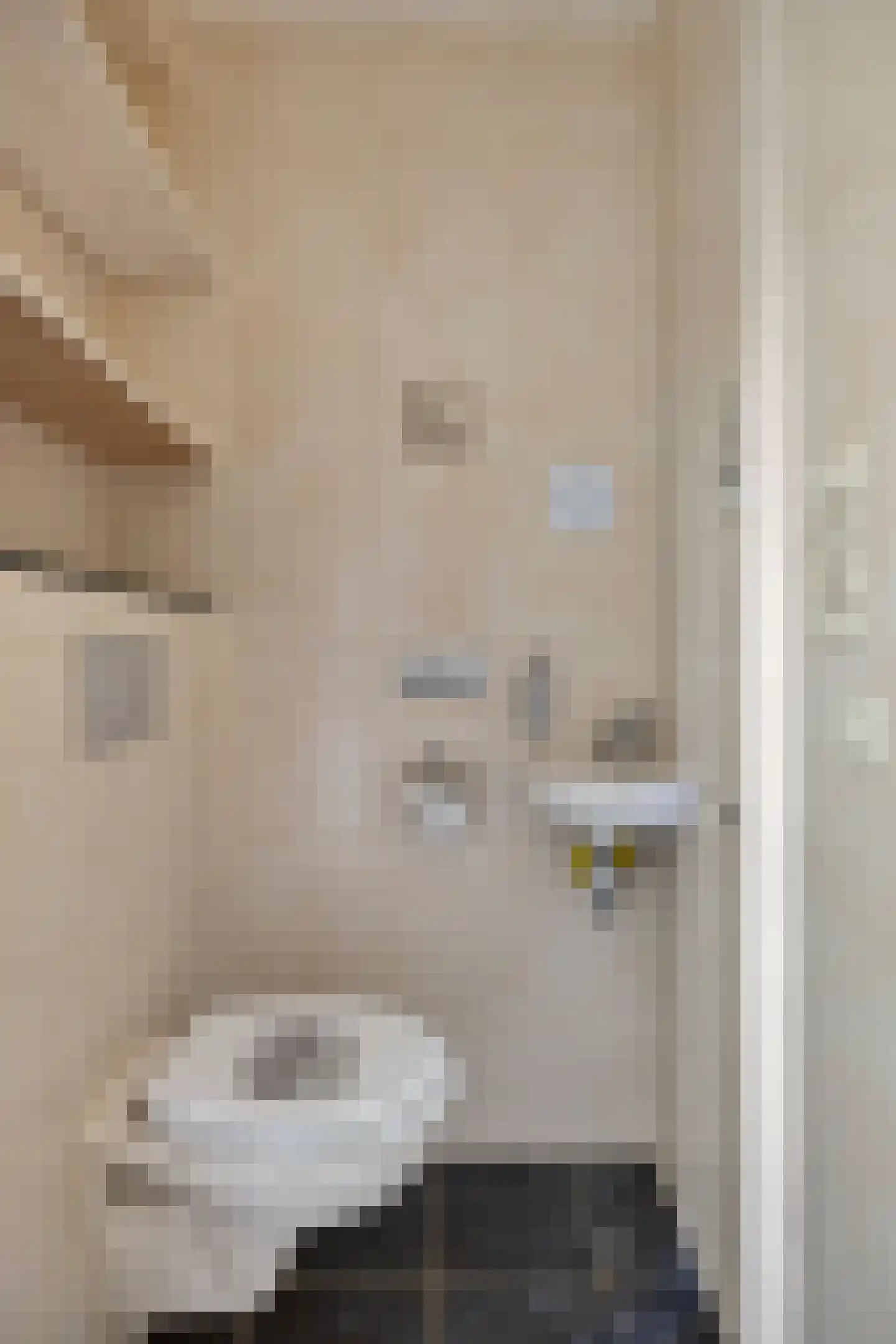 Eufraatstraat 4 Spijkenisse thumbnail 8