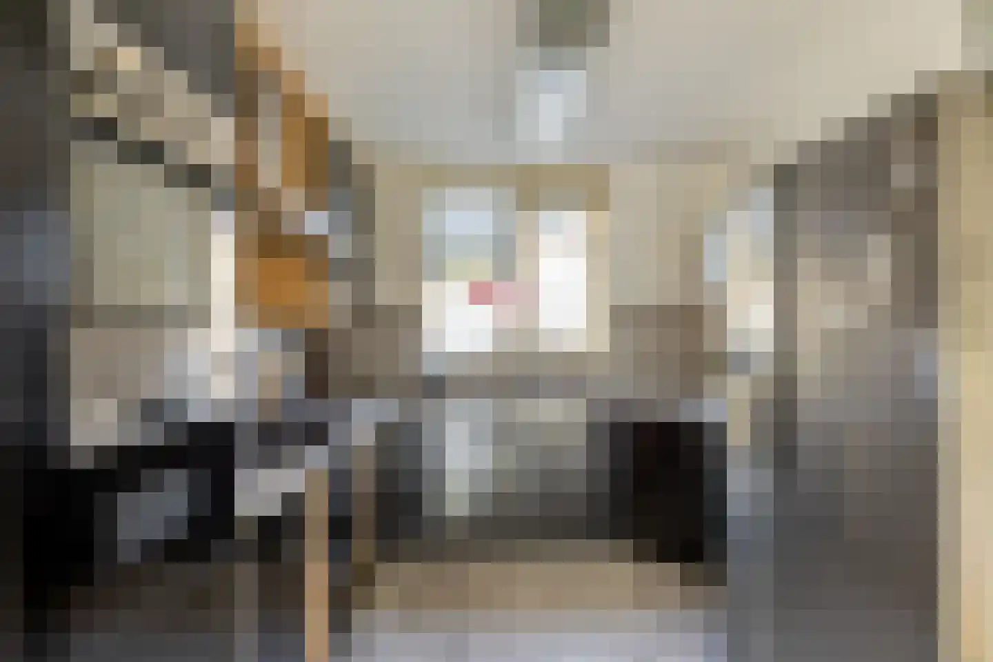 Eufraatstraat 4 Spijkenisse thumbnail 9