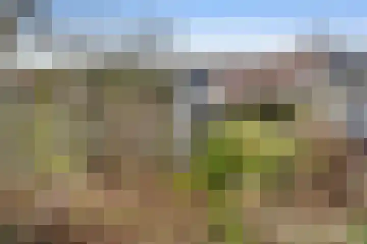 Eufraatstraat 7 Spijkenisse thumbnail 10