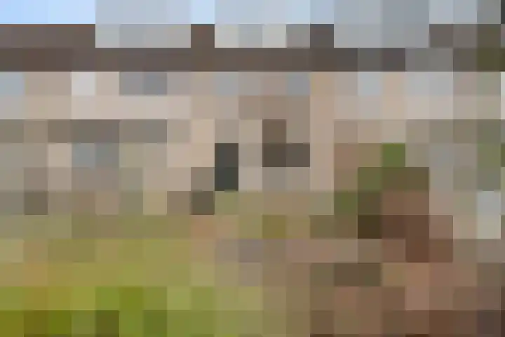 Eufraatstraat 7 Spijkenisse thumbnail 12