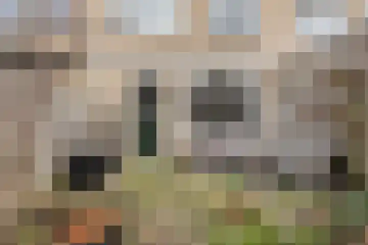 Eufraatstraat 7 Spijkenisse thumbnail 14