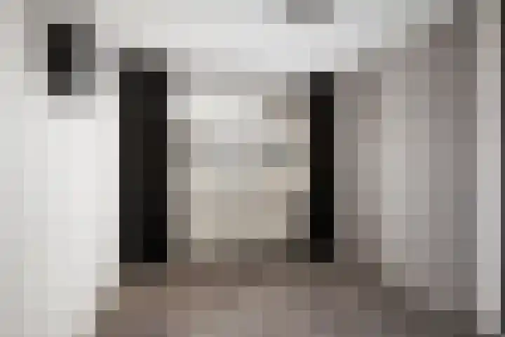 Eufraatstraat 7 Spijkenisse thumbnail 15