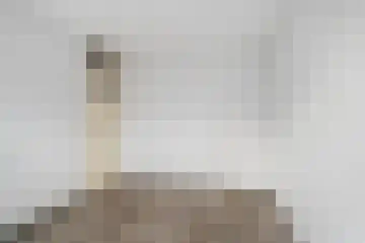 Eufraatstraat 7 Spijkenisse thumbnail 19
