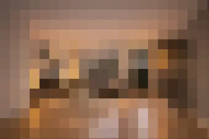 Eufraatstraat 7 Spijkenisse thumbnail 7