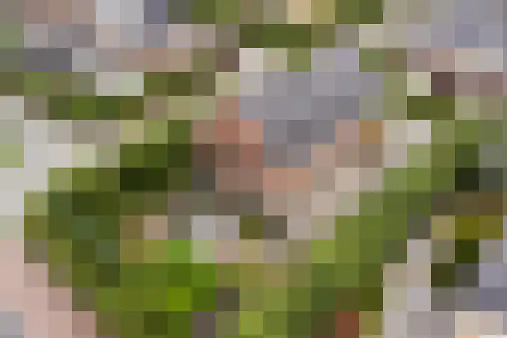 Eufraatstroom 17 in Zoetermeer