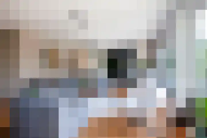 Eufraatstroom 17 Zoetermeer thumbnail 10