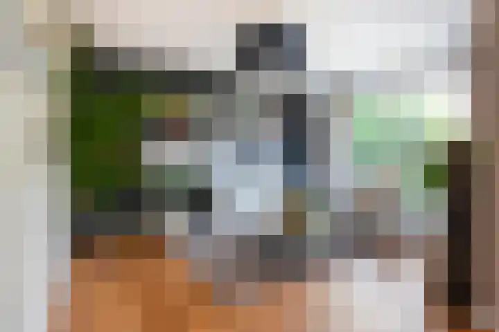 Eufraatstroom 17 Zoetermeer thumbnail 11