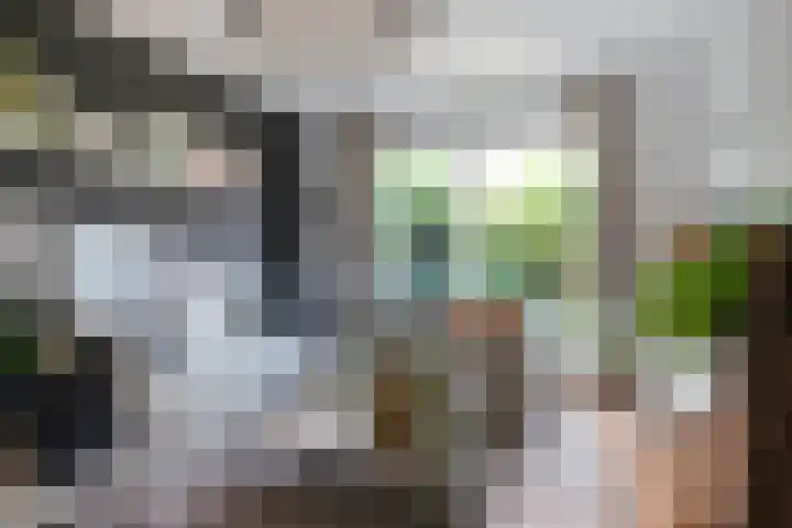 Eufraatstroom 17 Zoetermeer thumbnail 12