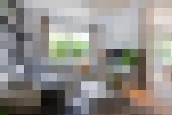 Eufraatstroom 17 Zoetermeer thumbnail 13
