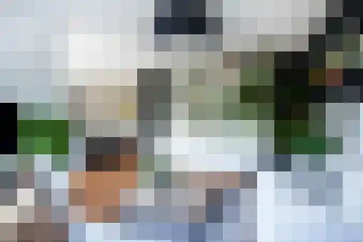 Eufraatstroom 17 Zoetermeer thumbnail 14