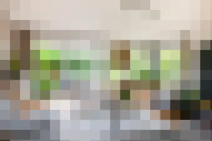 Eufraatstroom 17 Zoetermeer thumbnail 15
