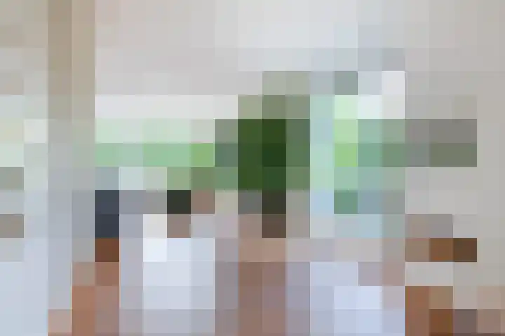 Eufraatstroom 17 Zoetermeer thumbnail 16