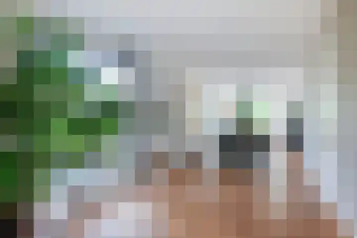 Eufraatstroom 17 Zoetermeer thumbnail 17