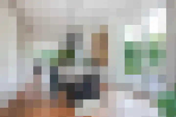 Eufraatstroom 17 Zoetermeer thumbnail 22