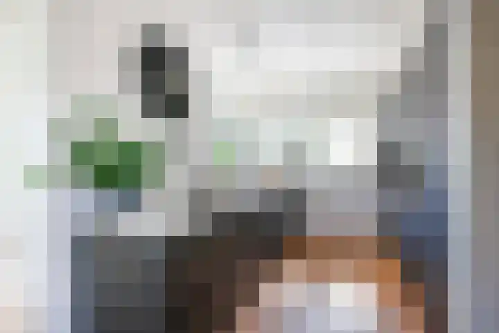 Eufraatstroom 17 Zoetermeer thumbnail 23