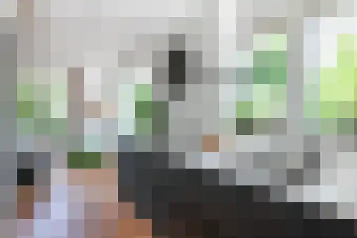 Eufraatstroom 17 Zoetermeer thumbnail 26