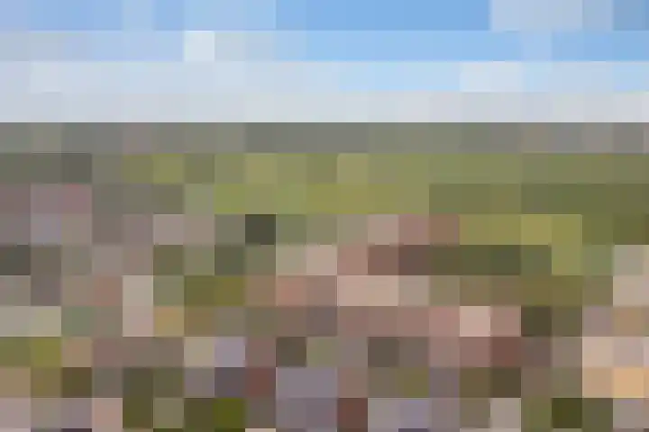 Eufraatstroom 17 Zoetermeer thumbnail 28