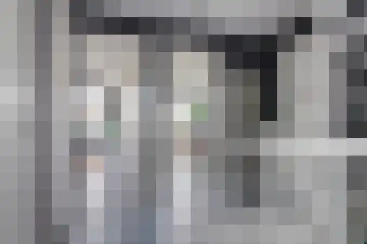 Eufraatstroom 17 Zoetermeer thumbnail 30