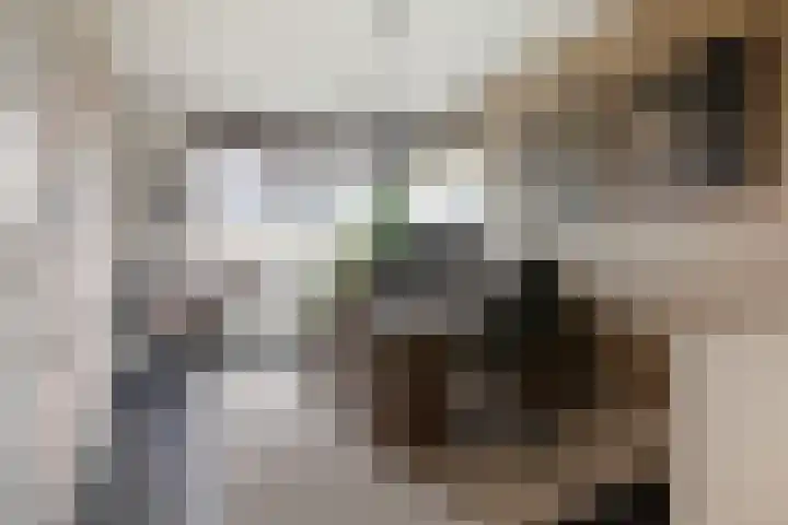 Eufraatstroom 17 Zoetermeer thumbnail 31