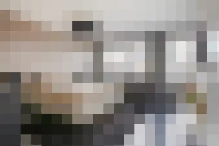 Eufraatstroom 17 Zoetermeer thumbnail 33