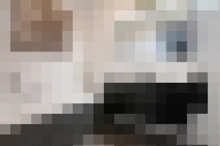 Eufraatstroom 17 Zoetermeer thumbnail 35