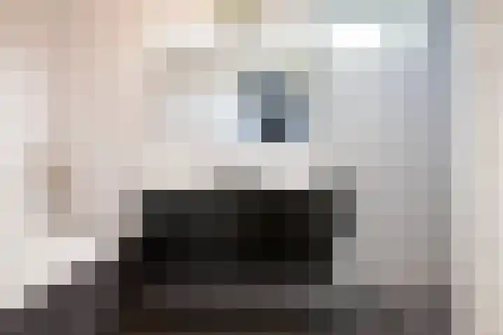 Eufraatstroom 17 Zoetermeer thumbnail 36