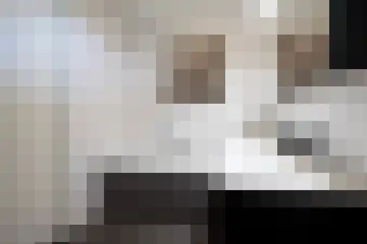 Eufraatstroom 17 Zoetermeer thumbnail 37