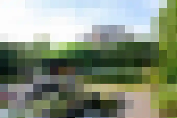 Eufraatstroom 17 Zoetermeer thumbnail 4