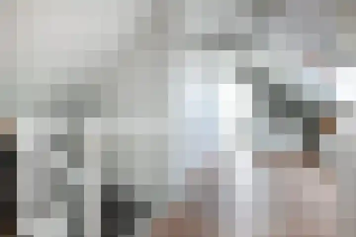 Eufraatstroom 17 Zoetermeer thumbnail 40