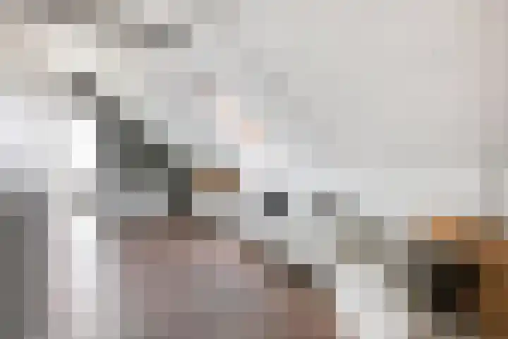 Eufraatstroom 17 Zoetermeer thumbnail 41