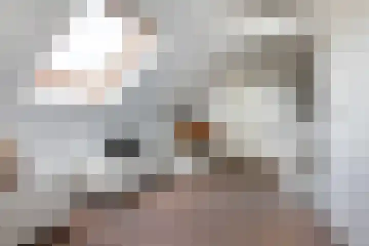 Eufraatstroom 17 Zoetermeer thumbnail 43