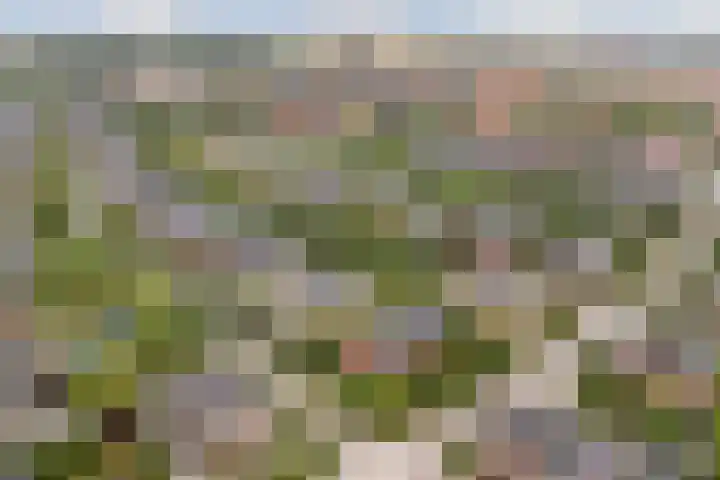 Eufraatstroom 17 Zoetermeer thumbnail 47