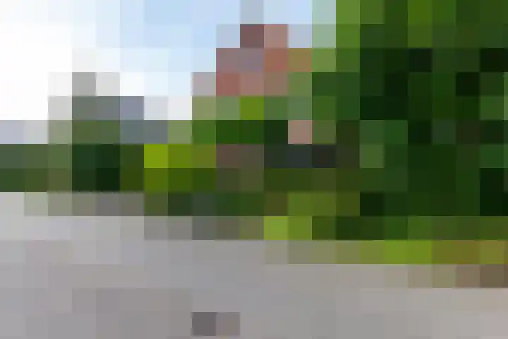 Eufraatstroom 17 Zoetermeer thumbnail 52