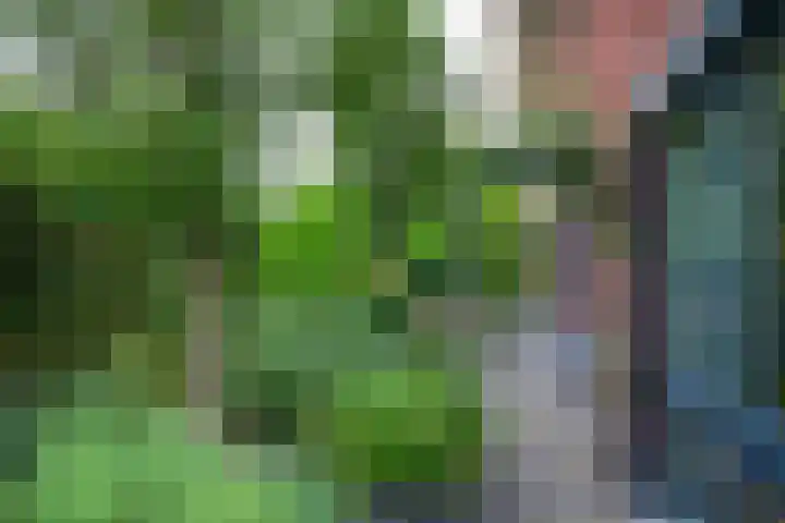 Eufraatstroom 17 Zoetermeer thumbnail 62
