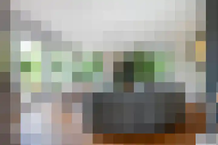 Eufraatstroom 17 Zoetermeer thumbnail 7