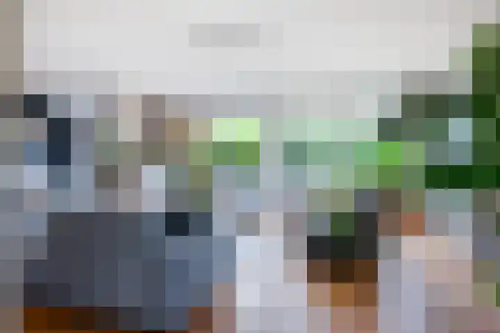 Eufraatstroom 17 Zoetermeer thumbnail 8