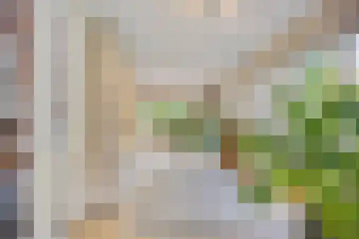 Eufraatstroom 7 Zoetermeer thumbnail 15