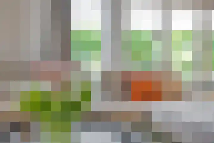 Eufraatstroom 7 Zoetermeer thumbnail 16