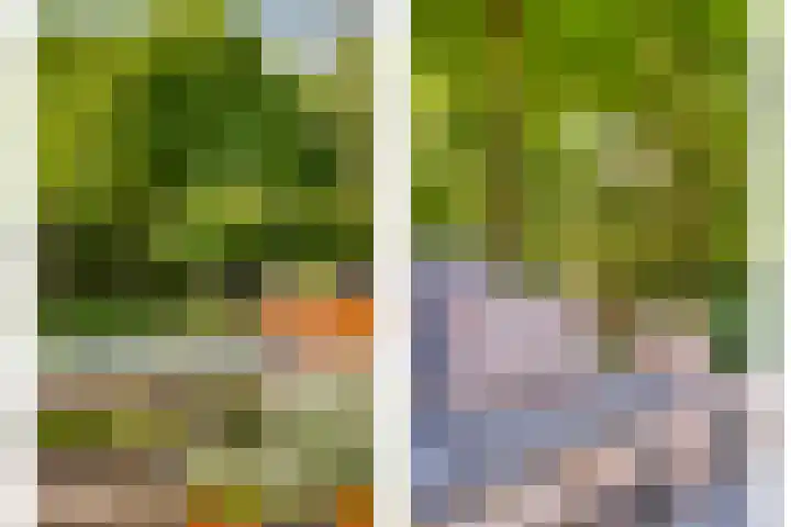 Eufraatstroom 7 Zoetermeer thumbnail 19