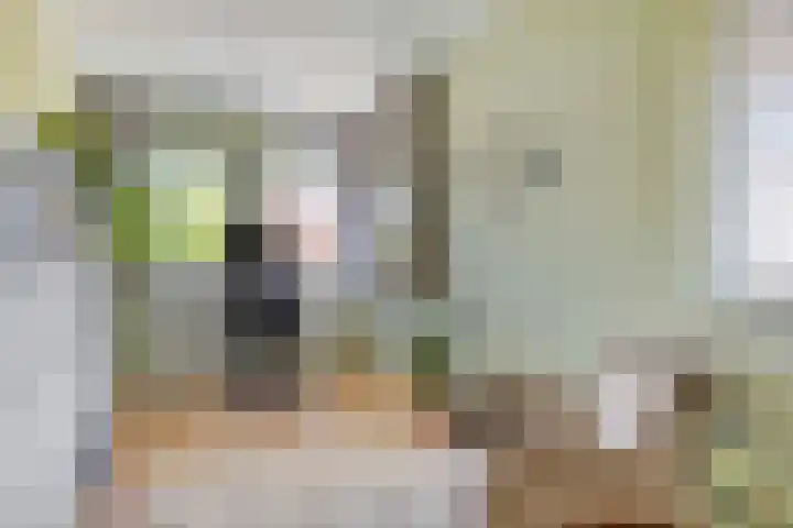 Eufraatstroom 7 Zoetermeer thumbnail 30