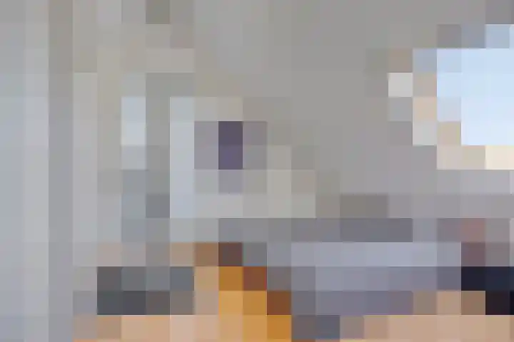 Eufraatstroom 7 Zoetermeer thumbnail 38
