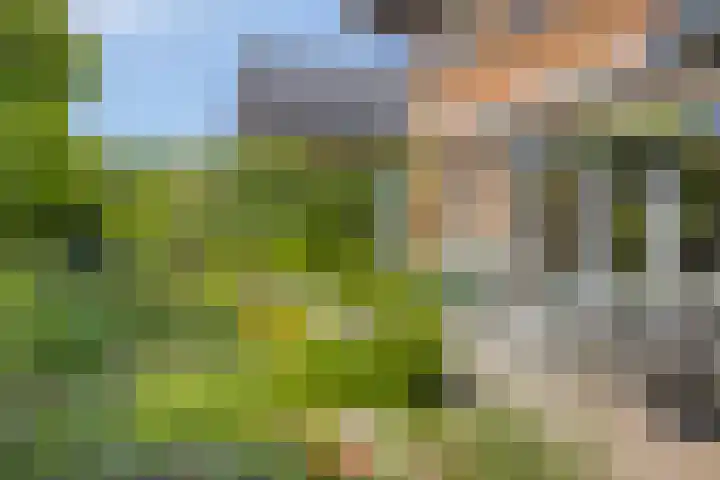 Eufraatstroom 7 Zoetermeer thumbnail 40