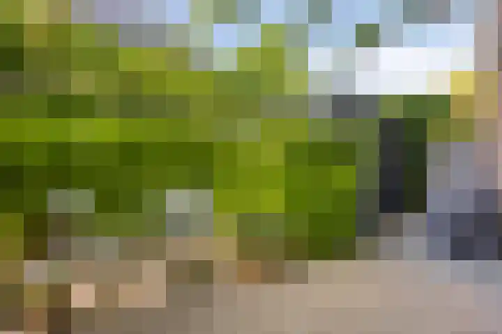Eufraatstroom 7 Zoetermeer thumbnail 42