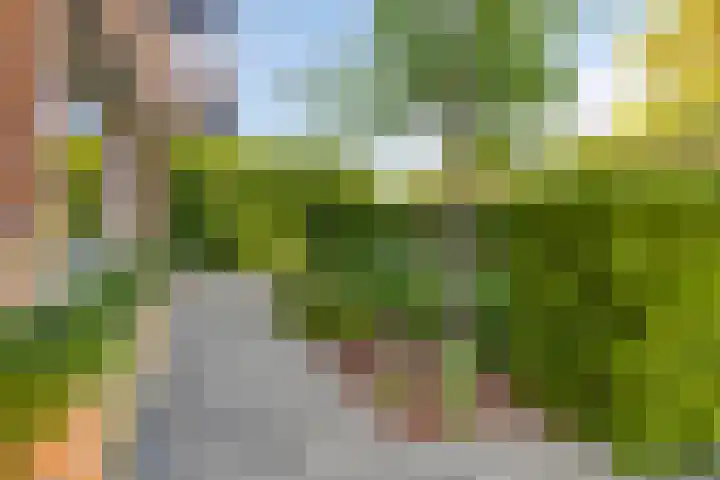 Eufraatstroom 7 Zoetermeer thumbnail 45