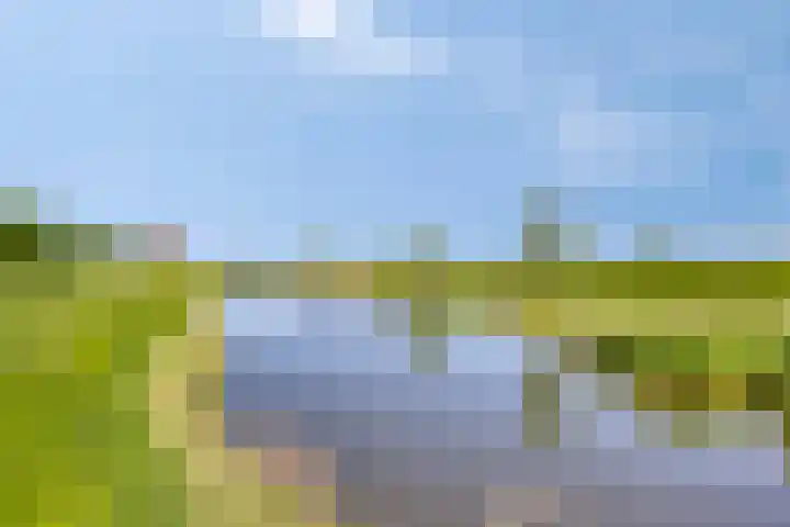 Eufraatstroom 7 Zoetermeer thumbnail 48